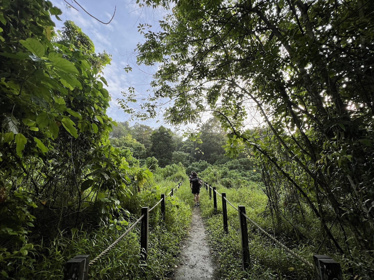 A woman in black shorts and black t-shirt walks away from the camera on a dirt path surrounded by trees and dense shrubbery, a blue sky overhead