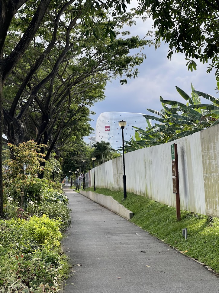 A footpath with trees and bushes on the left side and white scaffolding on the right, with a moden building clad in white tiles ahead